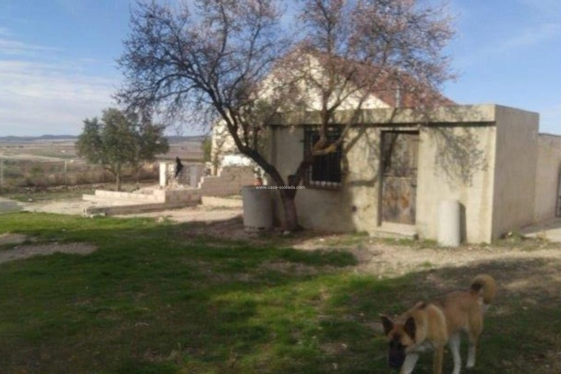 Revente - Villa - Yecla - Inland