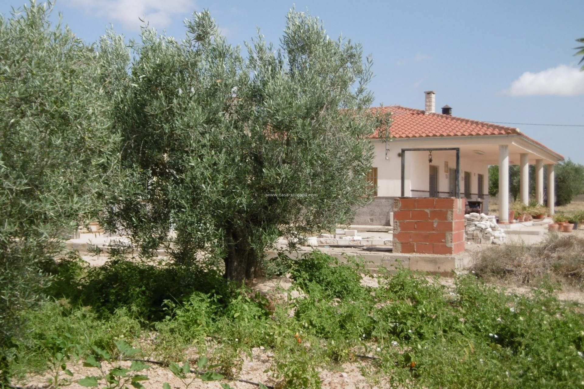 Revente - Villa - Yecla - Inland