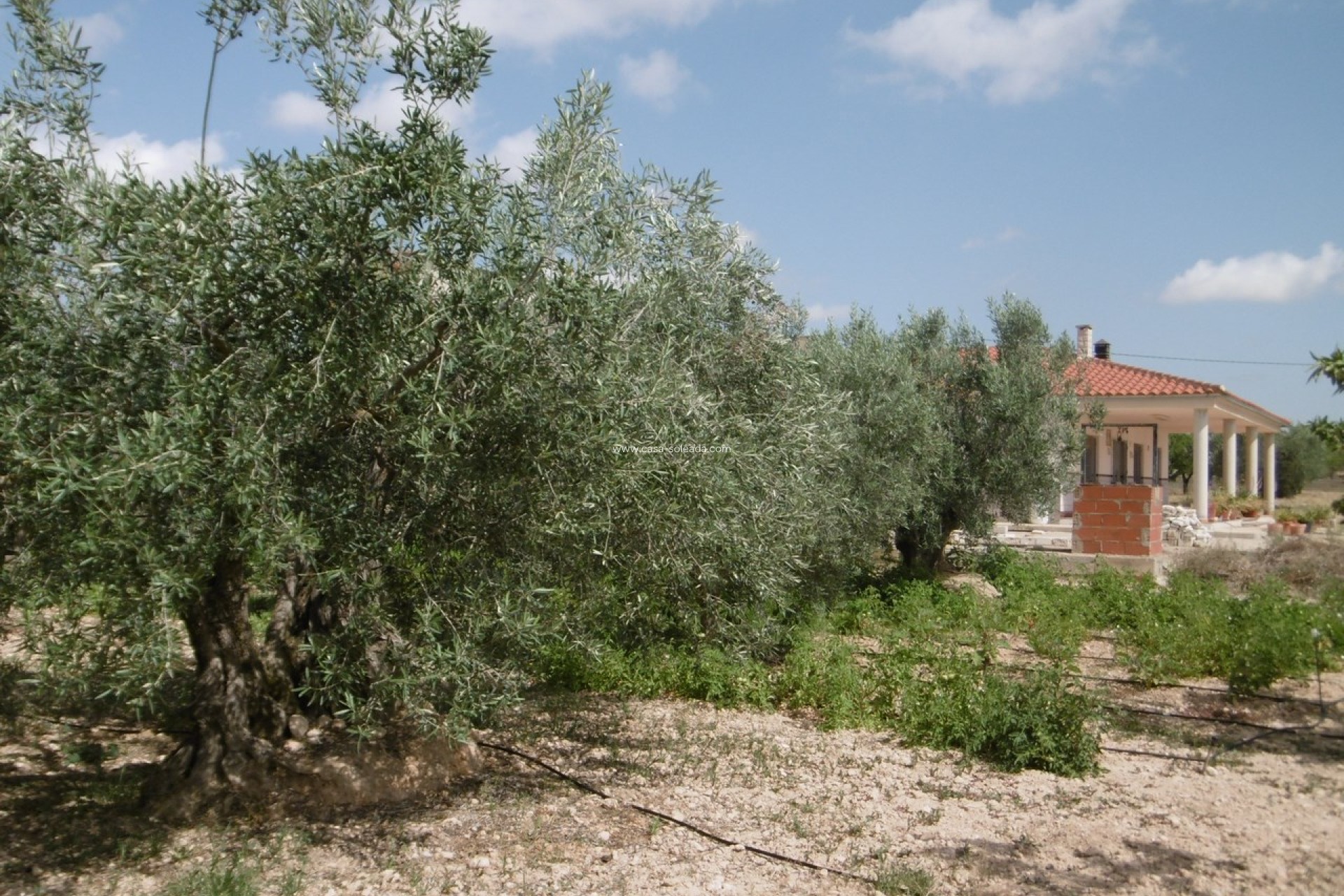 Revente - Villa - Yecla - Inland