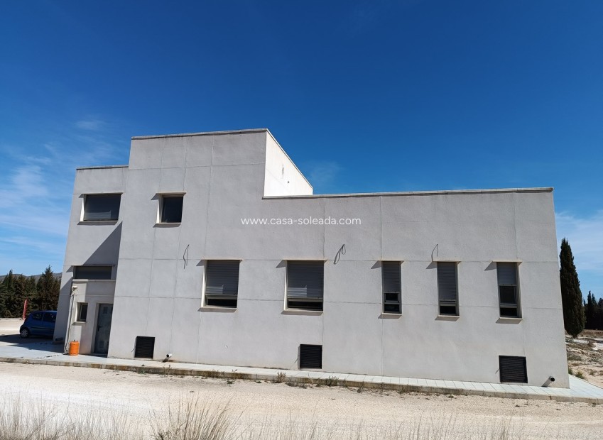 Revente - Villa - Yecla - Inland