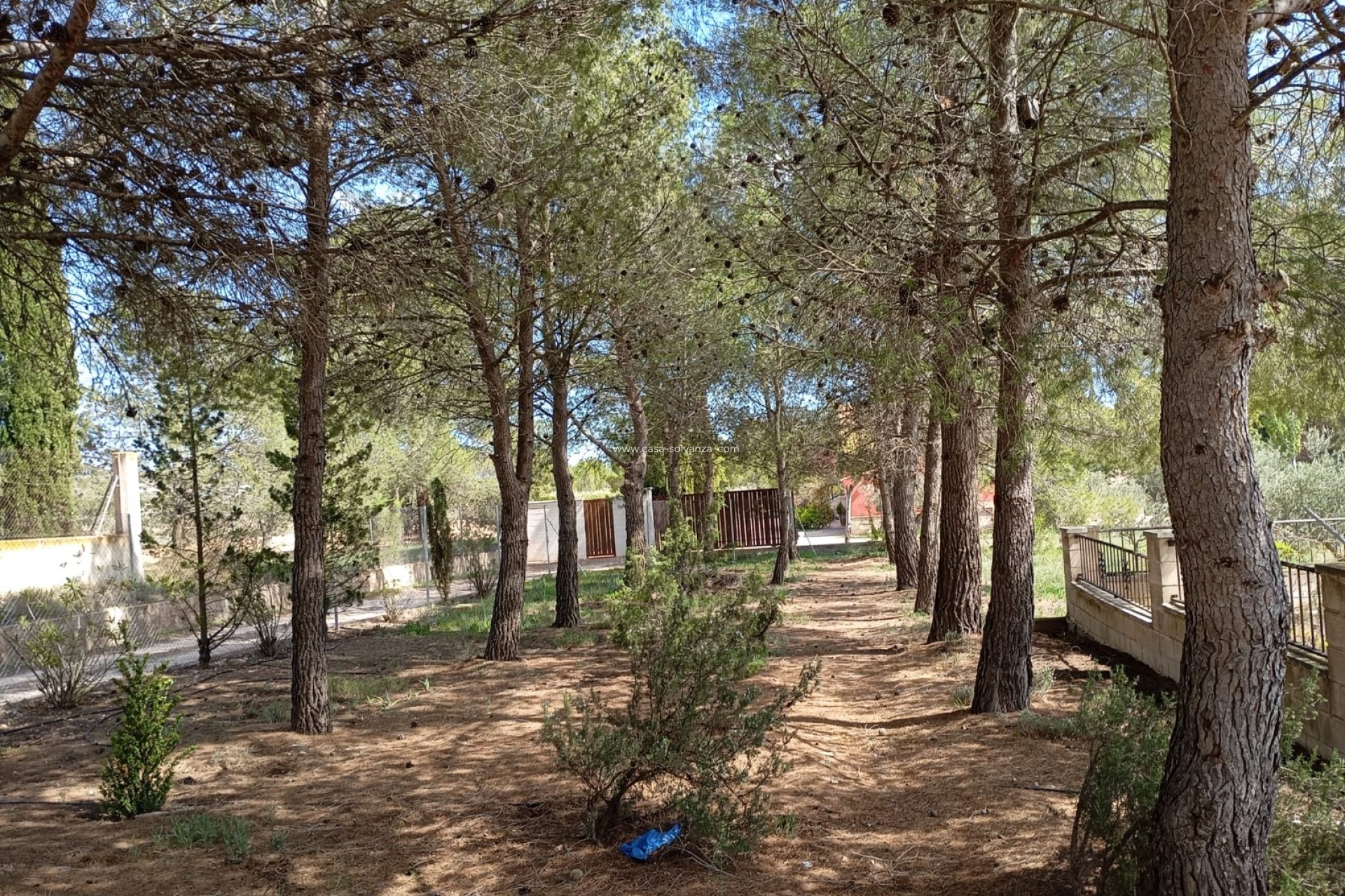 Revente - Villa - Yecla - Inland