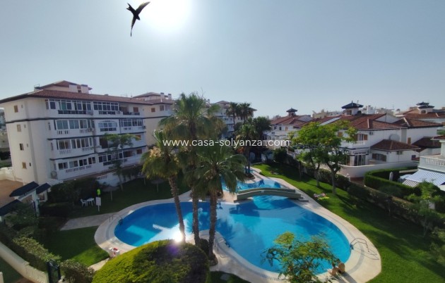 Studio - Resale - Torrevieja - Torrevieja