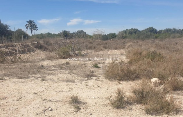 Terreno - Resale - Benferri - HUERTA PUEBLO