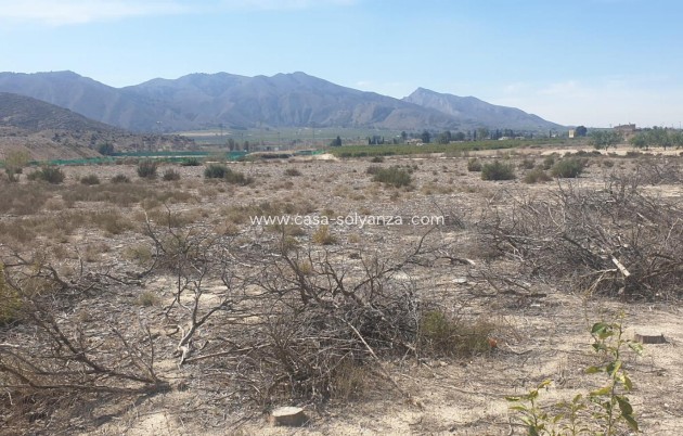 Terreno - Revente - Benferri - HUERTA PUEBLO