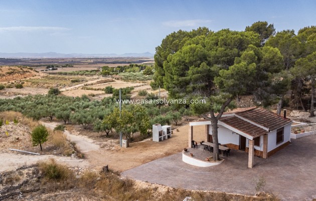 Villa - Herverkoop - LA TERCIA - La Tercia