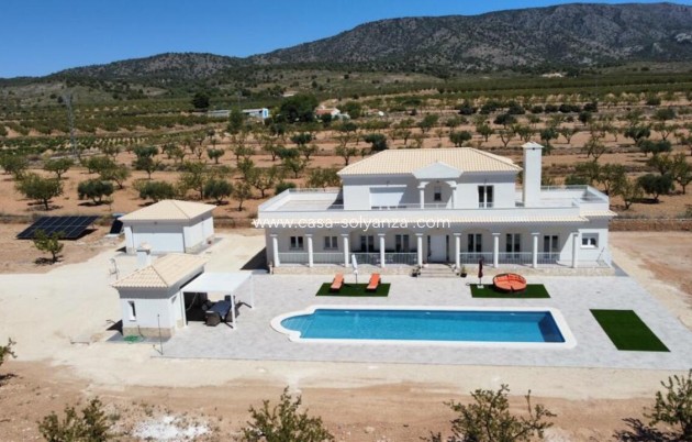 Villa - New Build - Pinoso - Pinoso