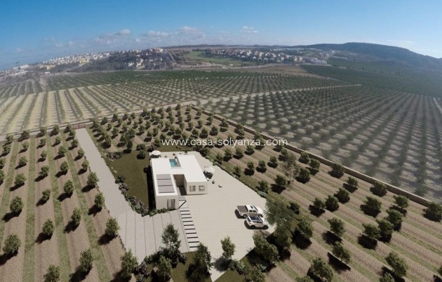 Villa - Nieuwbouw Woningen - Algorfa - Algorfa