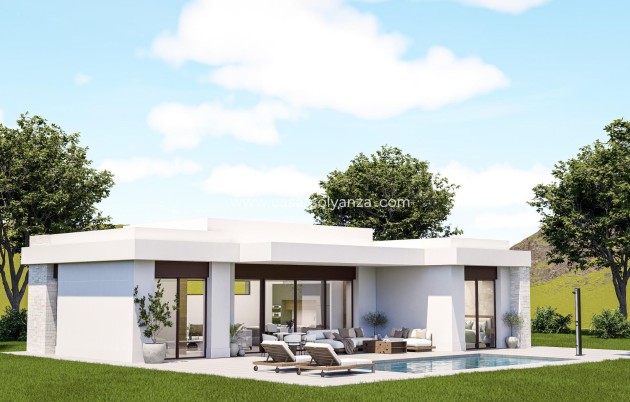 Villa - Nouvelle construction - Pinoso - Lel
