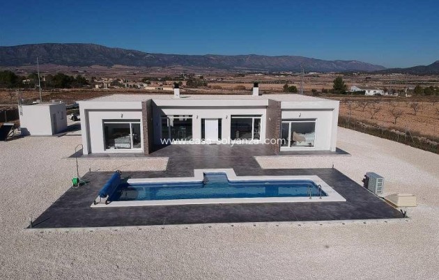 Villa - Obra nueva - Pinoso - Pinoso