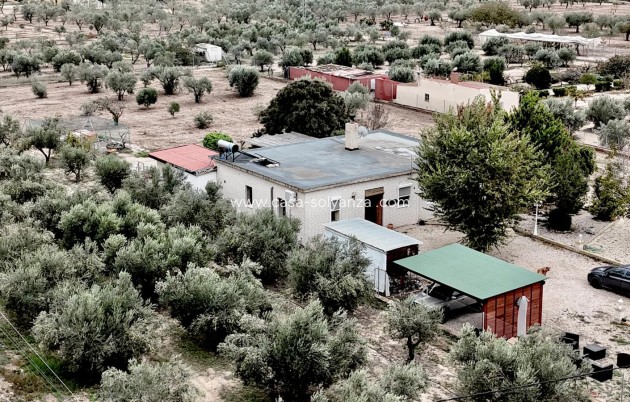 Villa - Revente - Salinas - Inland