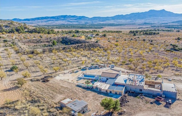 Villa - Wiederverkauf - Jumilla - Inland