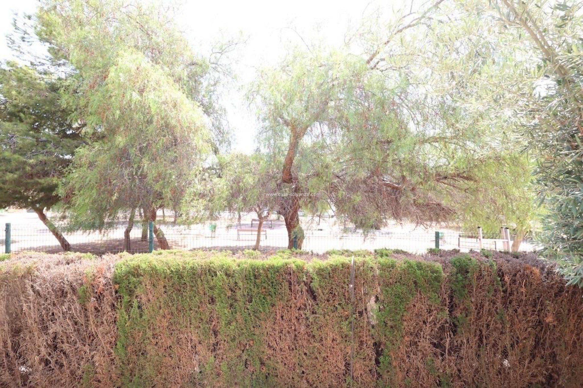 Wiederverkauf - Bungalow - Orihuela Costa - Costa Blanca