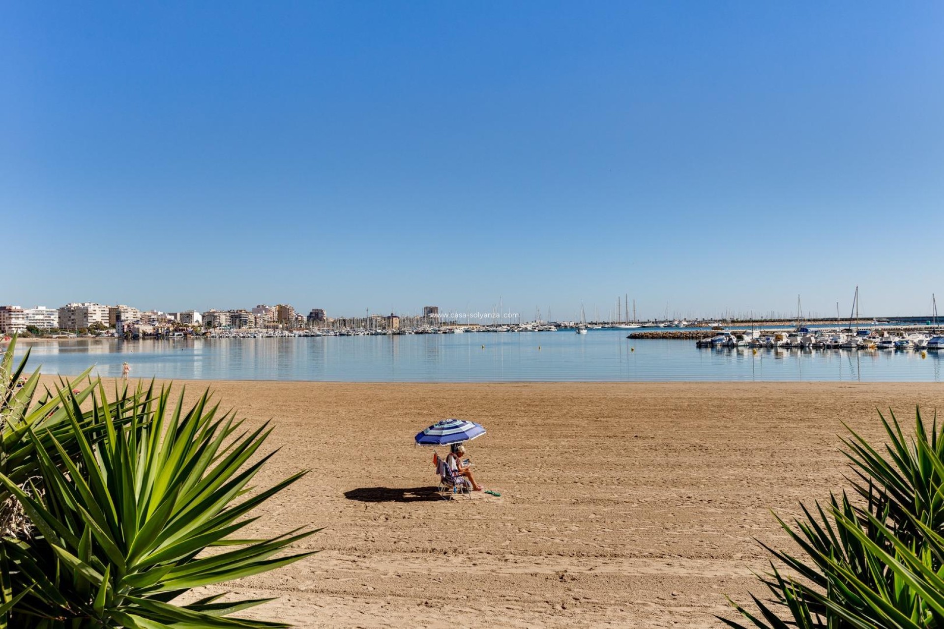 Wiederverkauf - Bungalow - Torrevieja - Centro - Muelle Pesquero