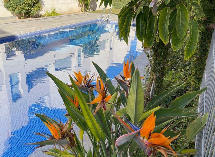 Wiederverkauf - Bungalow - Torrevieja - Costa Blanca