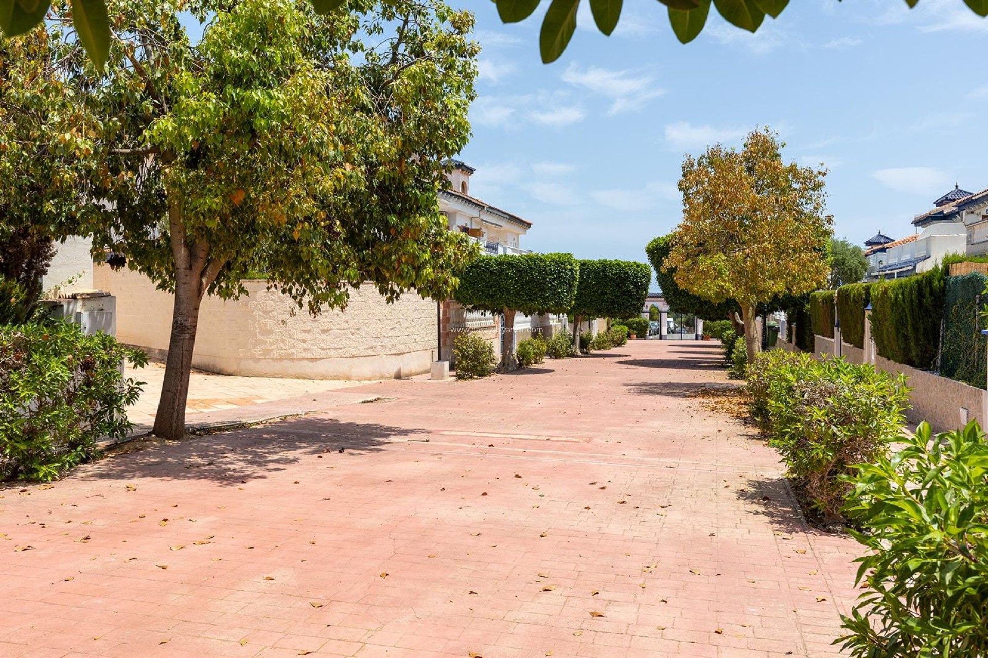 Wiederverkauf - Bungalow - Torrevieja - Costa Blanca