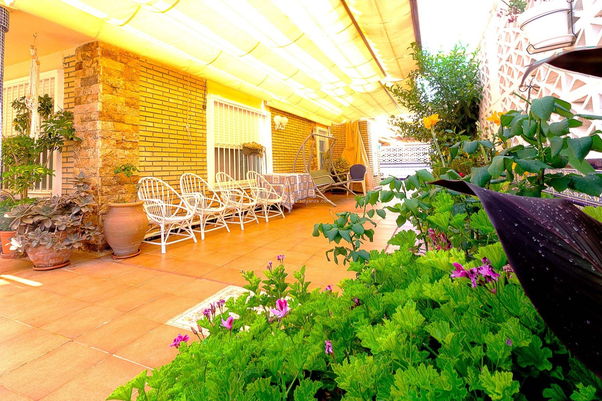 Wiederverkauf - Bungalow - Torrevieja - Costa Blanca