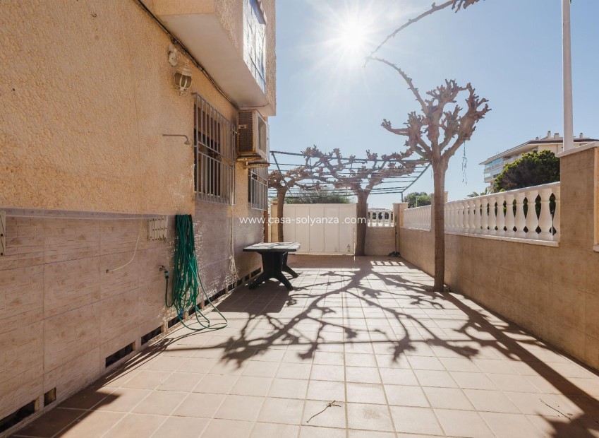 Wiederverkauf - Bungalow - Torrevieja - Costa Blanca