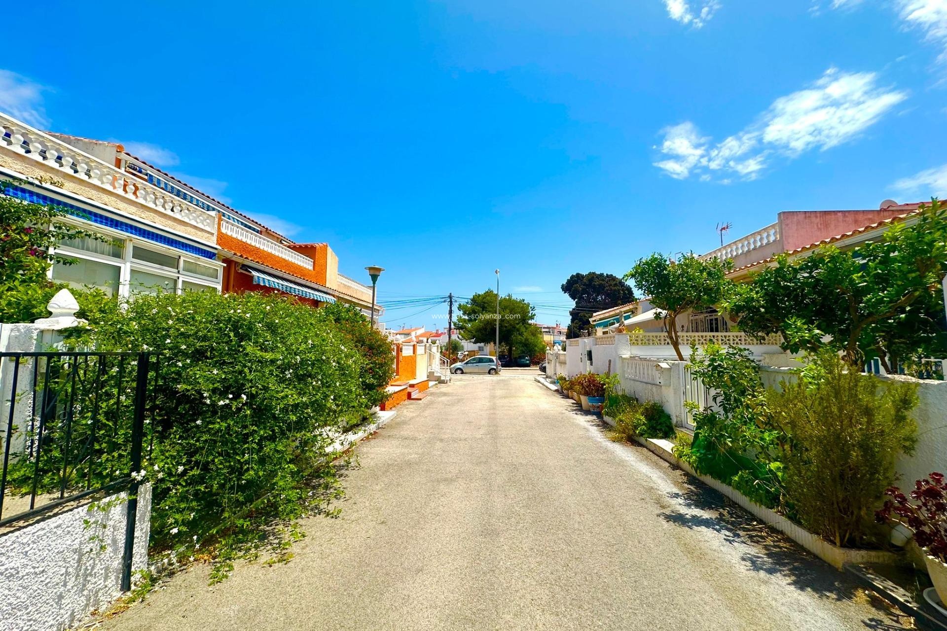 Wiederverkauf - Bungalow - Torrevieja - La Siesta