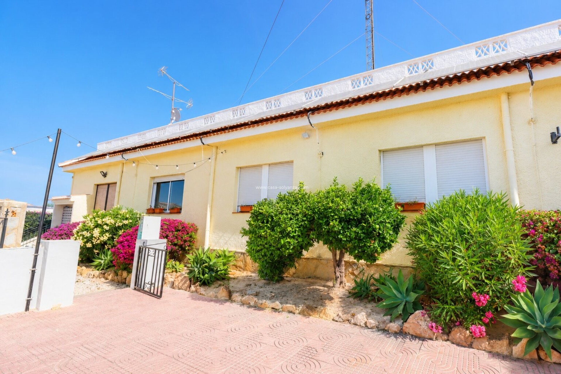 Wiederverkauf - Commercial (Rental) - Ciudad Quesada - Doña Pepa