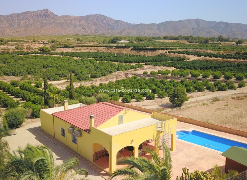 Wiederverkauf - Country Property/Finca - Albatera - Albatera - Country