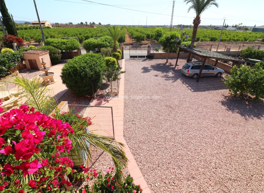 Wiederverkauf - Country Property/Finca - Albatera - Albatera - Country
