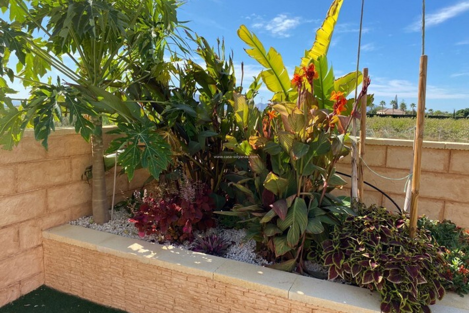 Wiederverkauf - Country Property/Finca - Albatera - Inland