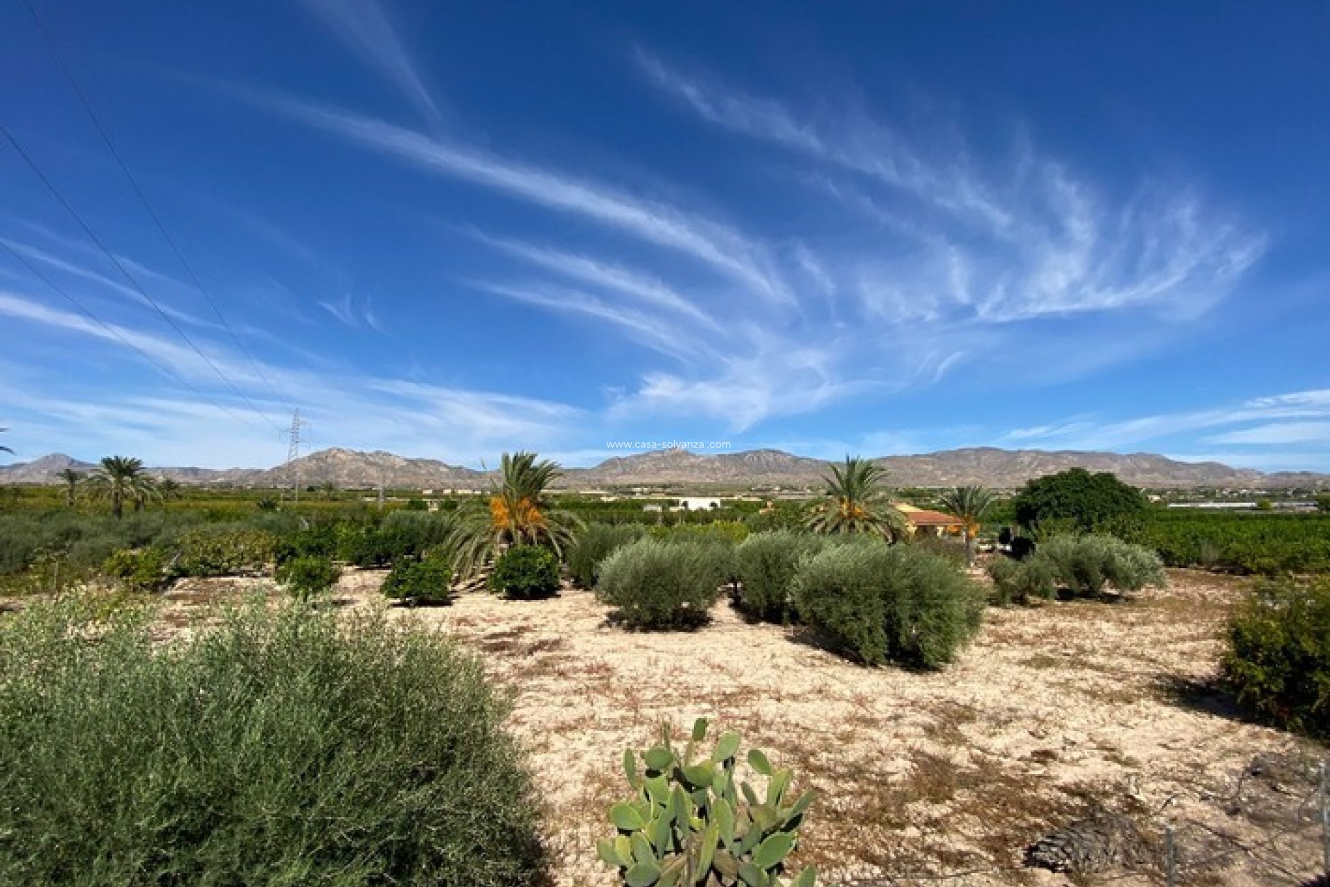 Wiederverkauf - Country Property/Finca - Albatera - Inland