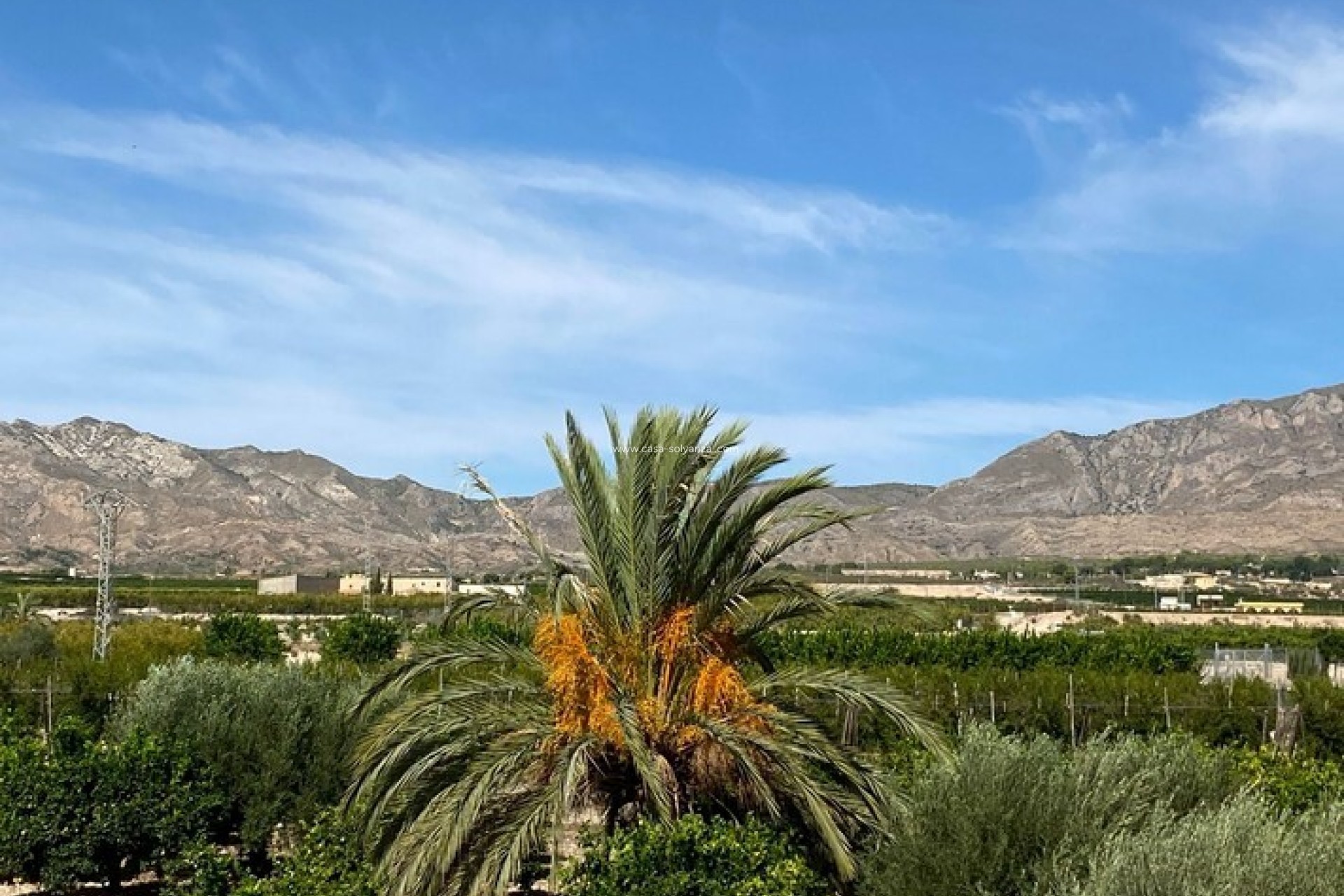 Wiederverkauf - Country Property/Finca - Albatera - Inland