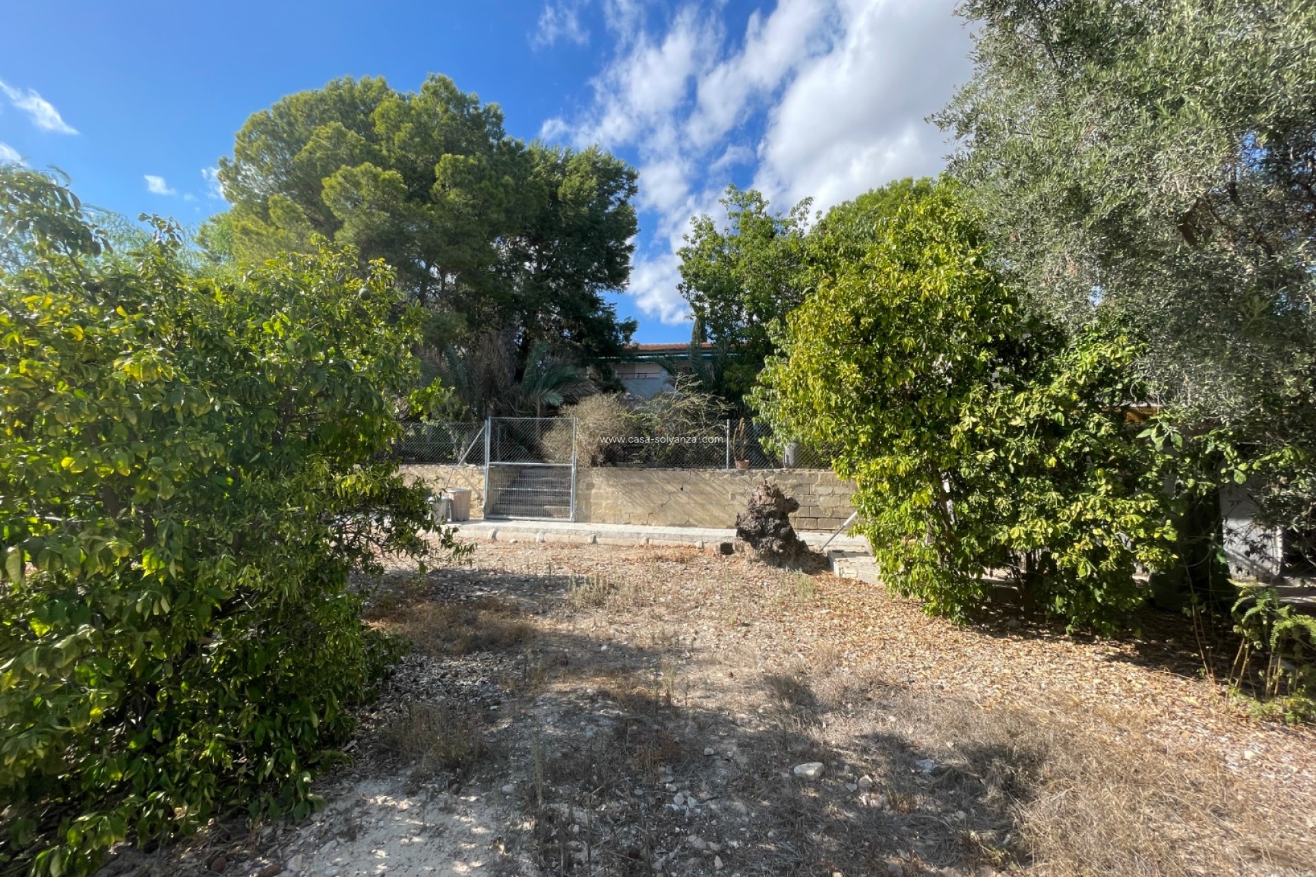 Wiederverkauf - Country Property/Finca - Albatera - Inland