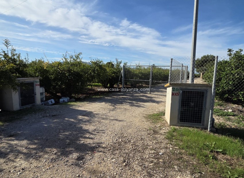 Wiederverkauf - Country Property/Finca - Albatera