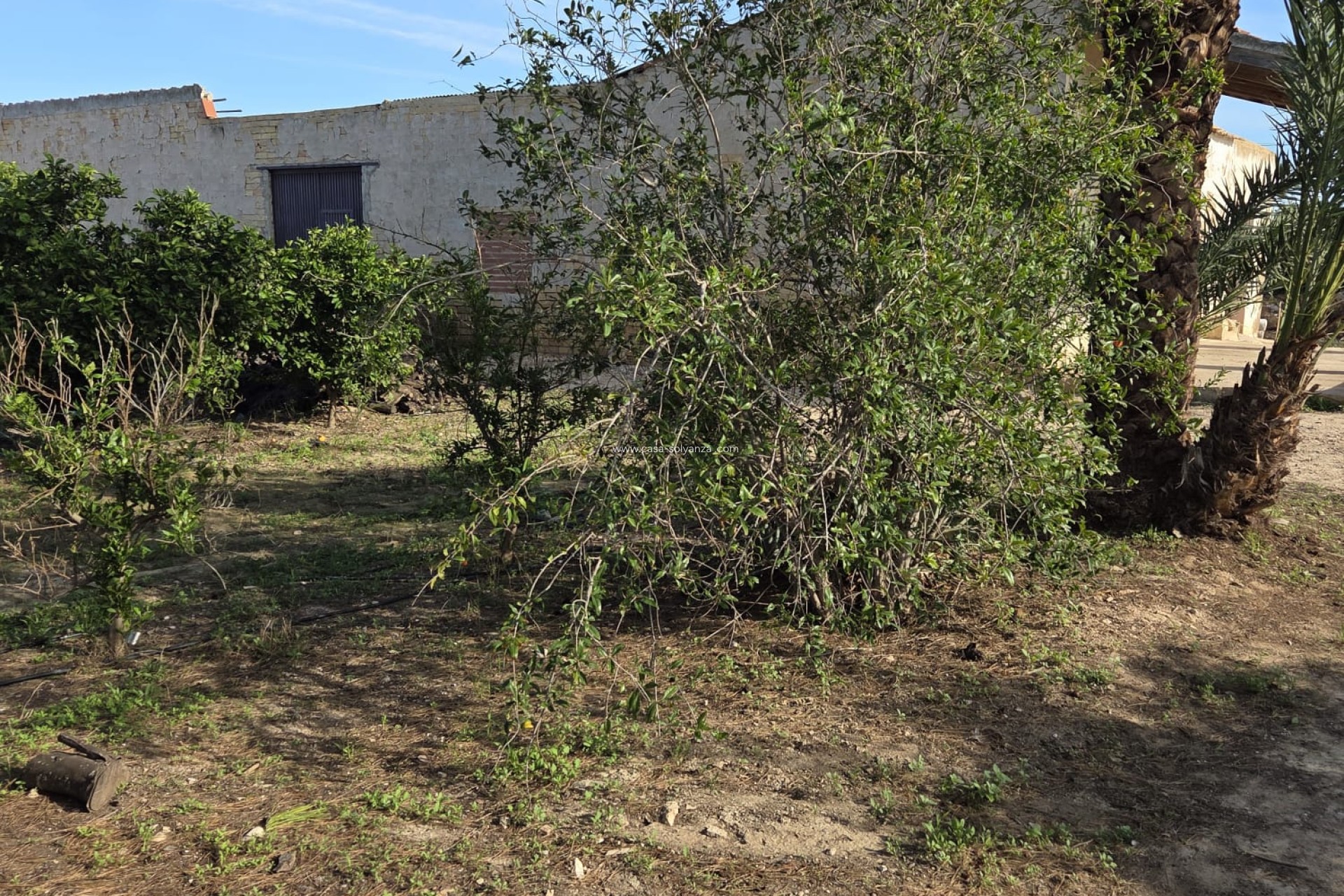 Wiederverkauf - Country Property/Finca - Albatera