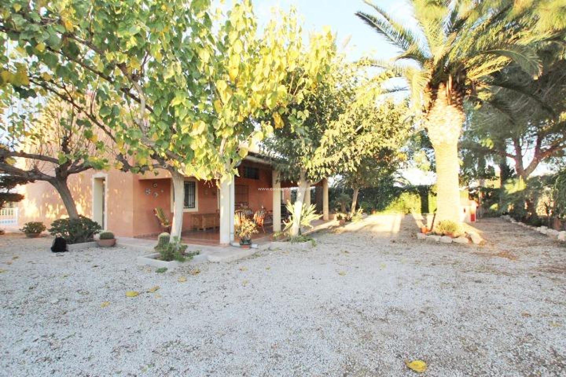 Wiederverkauf - Country Property/Finca - Almoradí - Comunidad Valenciana