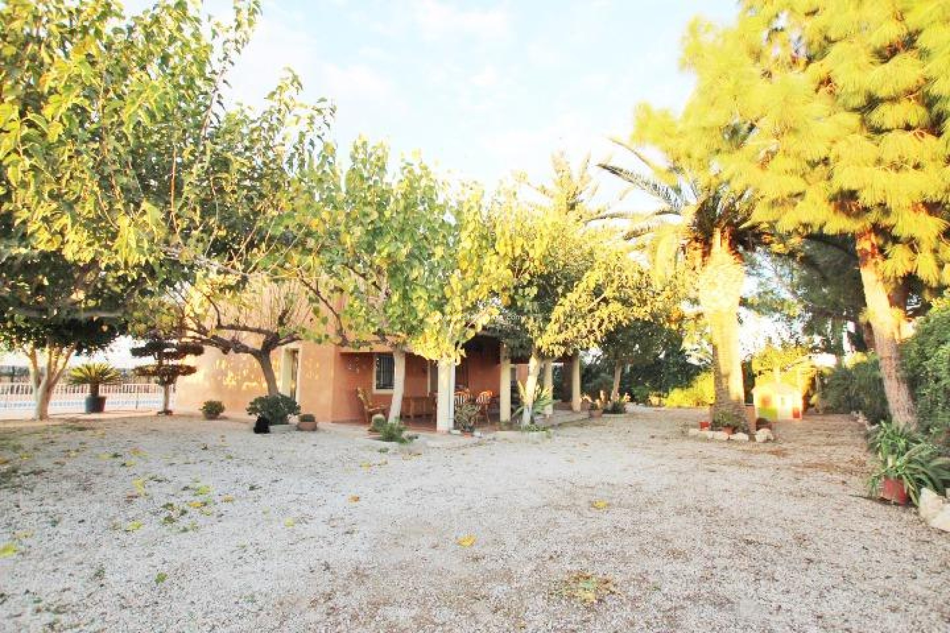 Wiederverkauf - Country Property/Finca - Almoradí - Comunidad Valenciana