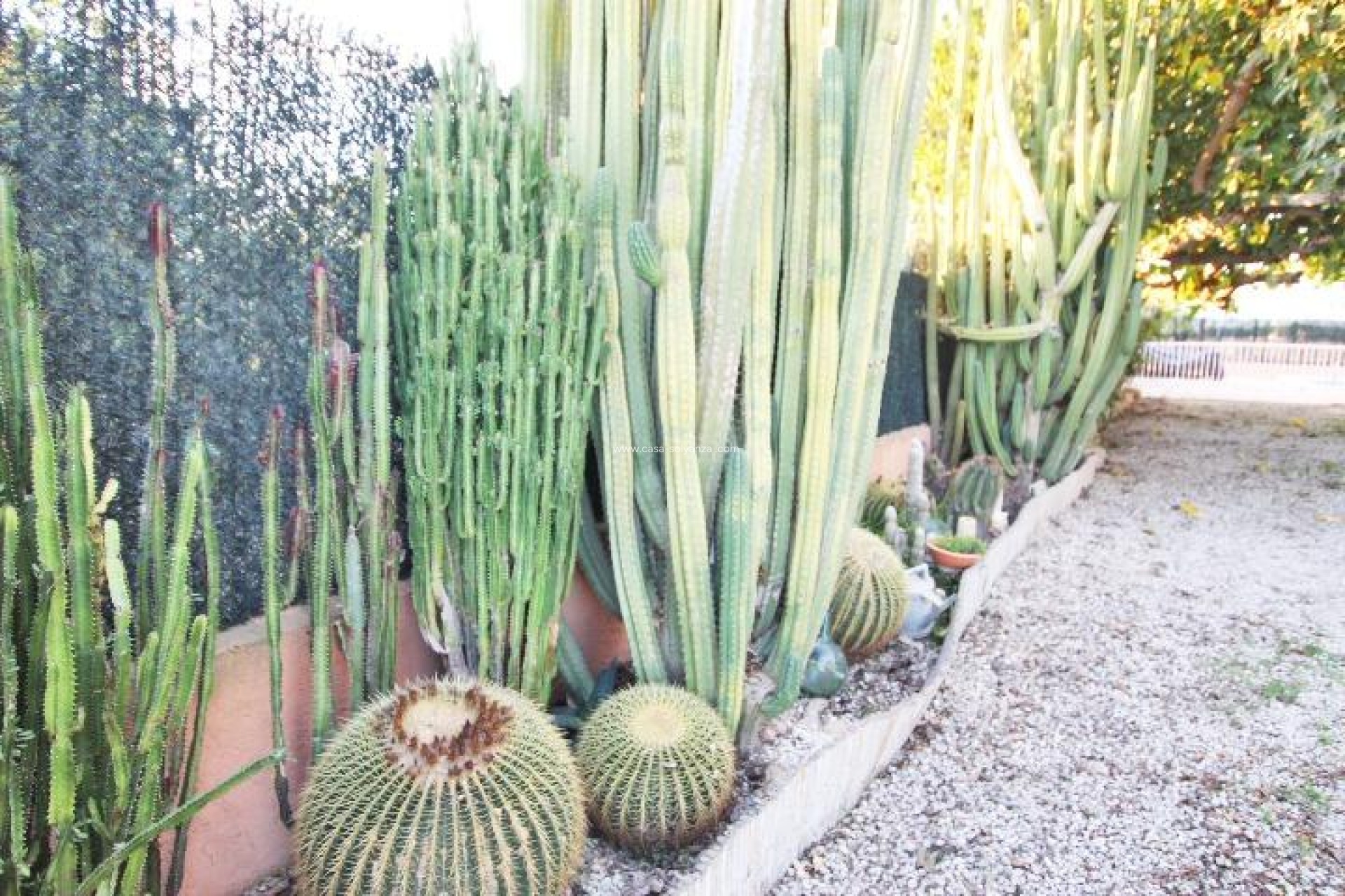 Wiederverkauf - Country Property/Finca - Almoradí - Comunidad Valenciana