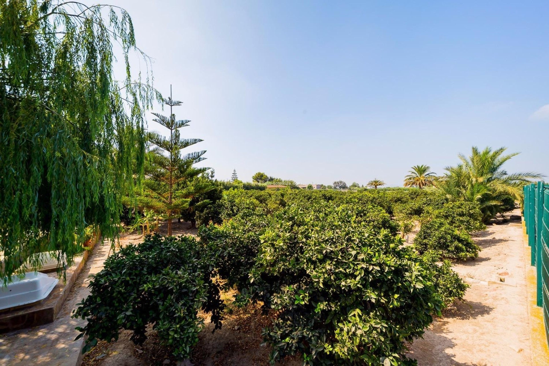 Wiederverkauf - Country Property/Finca - Almoradí - Inland