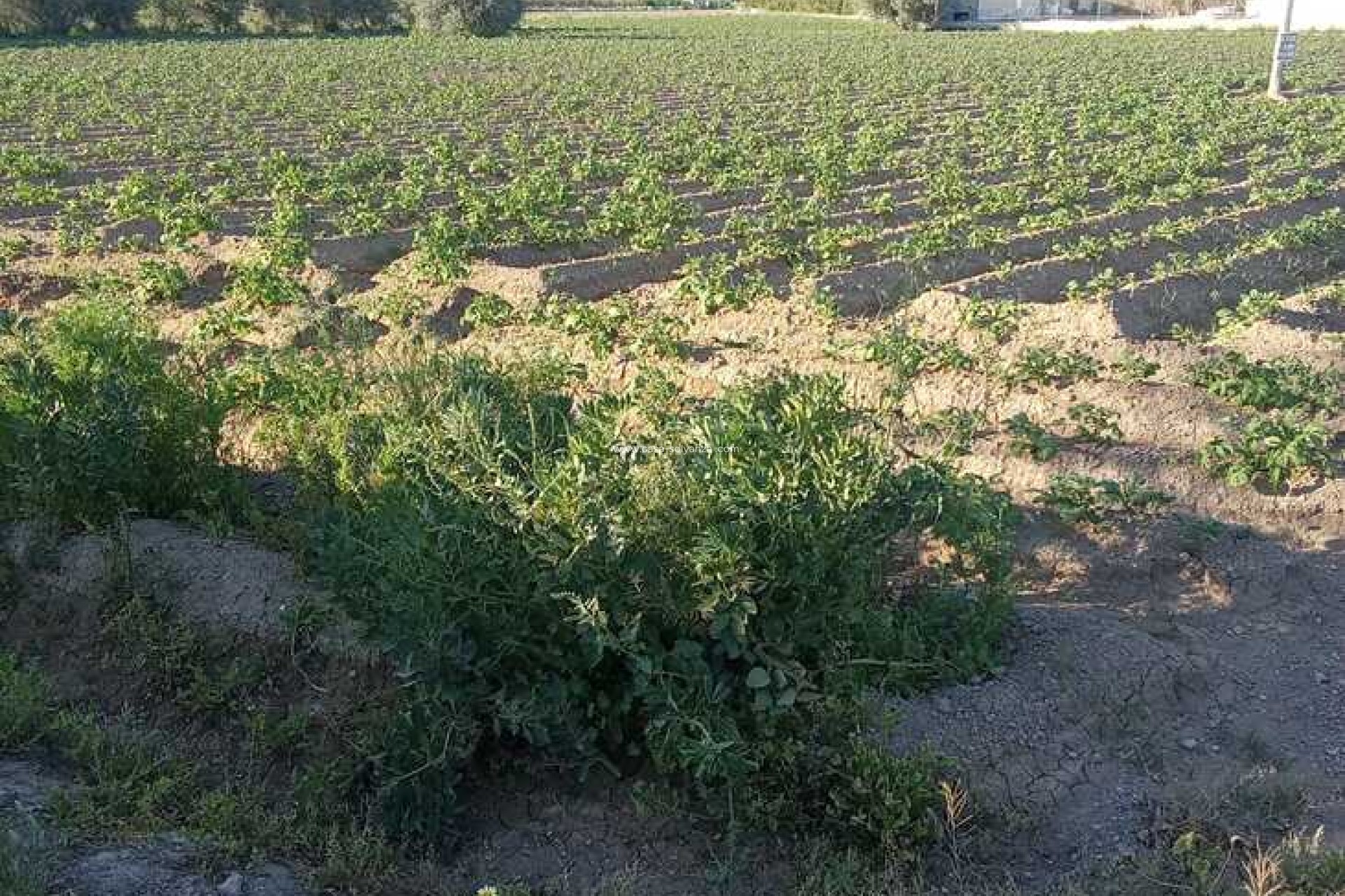 Wiederverkauf - Country Property/Finca - Arneva - LOS DESAMPARADOS