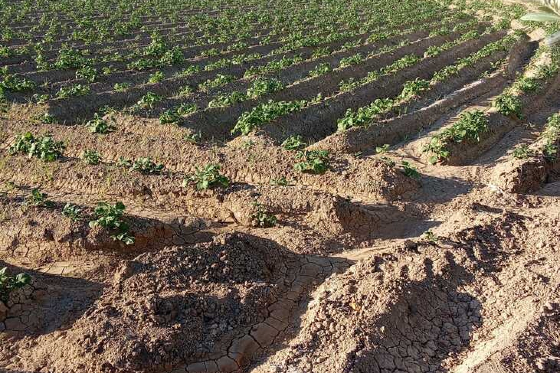 Wiederverkauf - Country Property/Finca - Arneva - LOS DESAMPARADOS