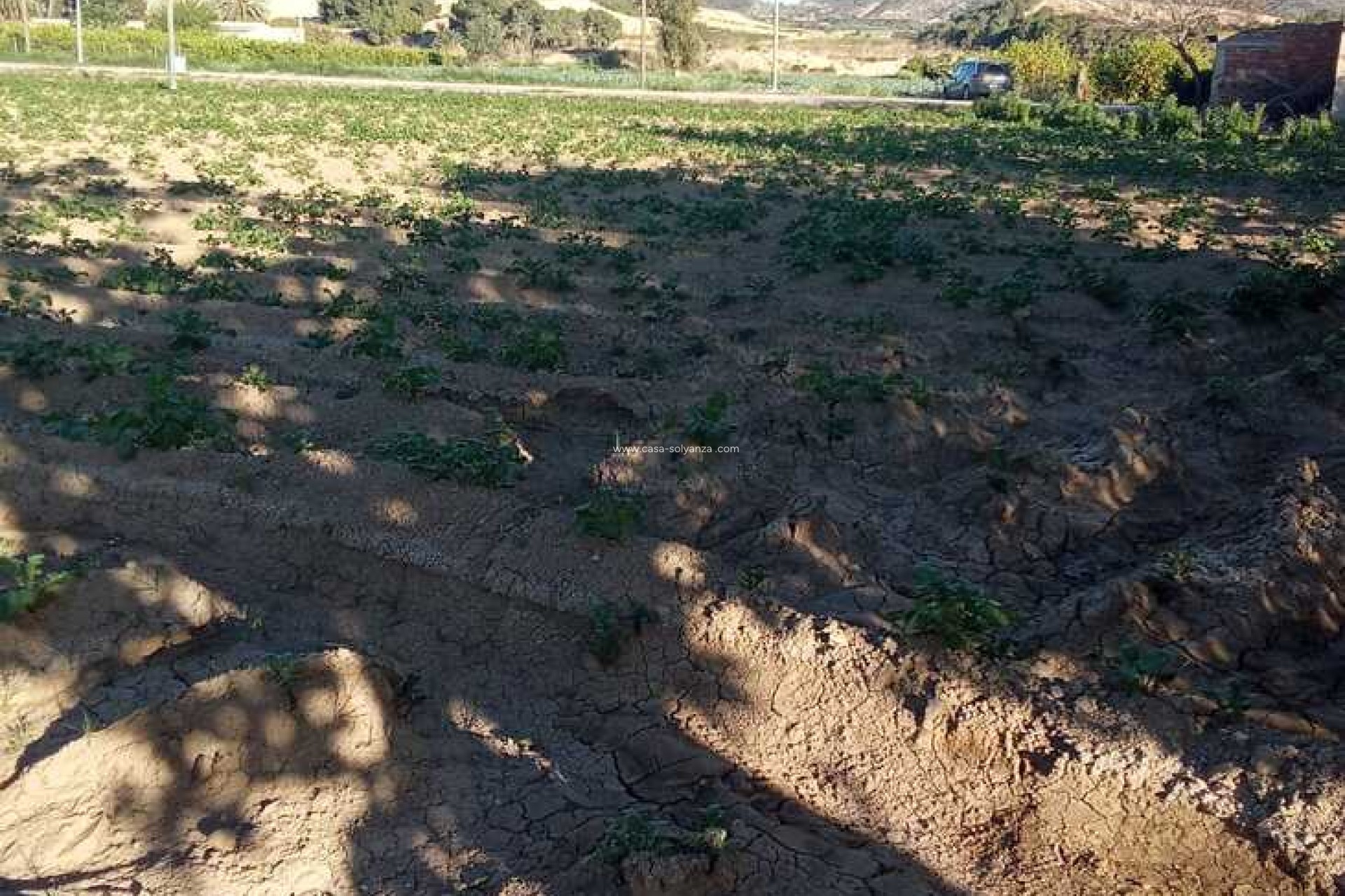 Wiederverkauf - Country Property/Finca - Arneva - LOS DESAMPARADOS