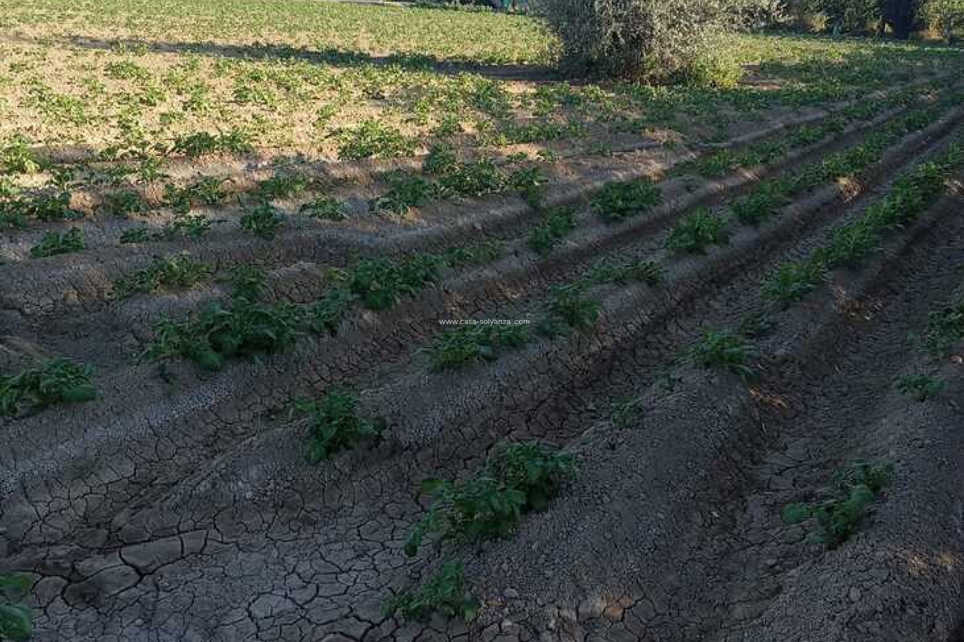 Wiederverkauf - Country Property/Finca - Arneva - LOS DESAMPARADOS