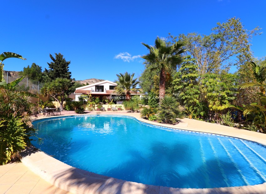 Wiederverkauf - Country Property/Finca - Aspe