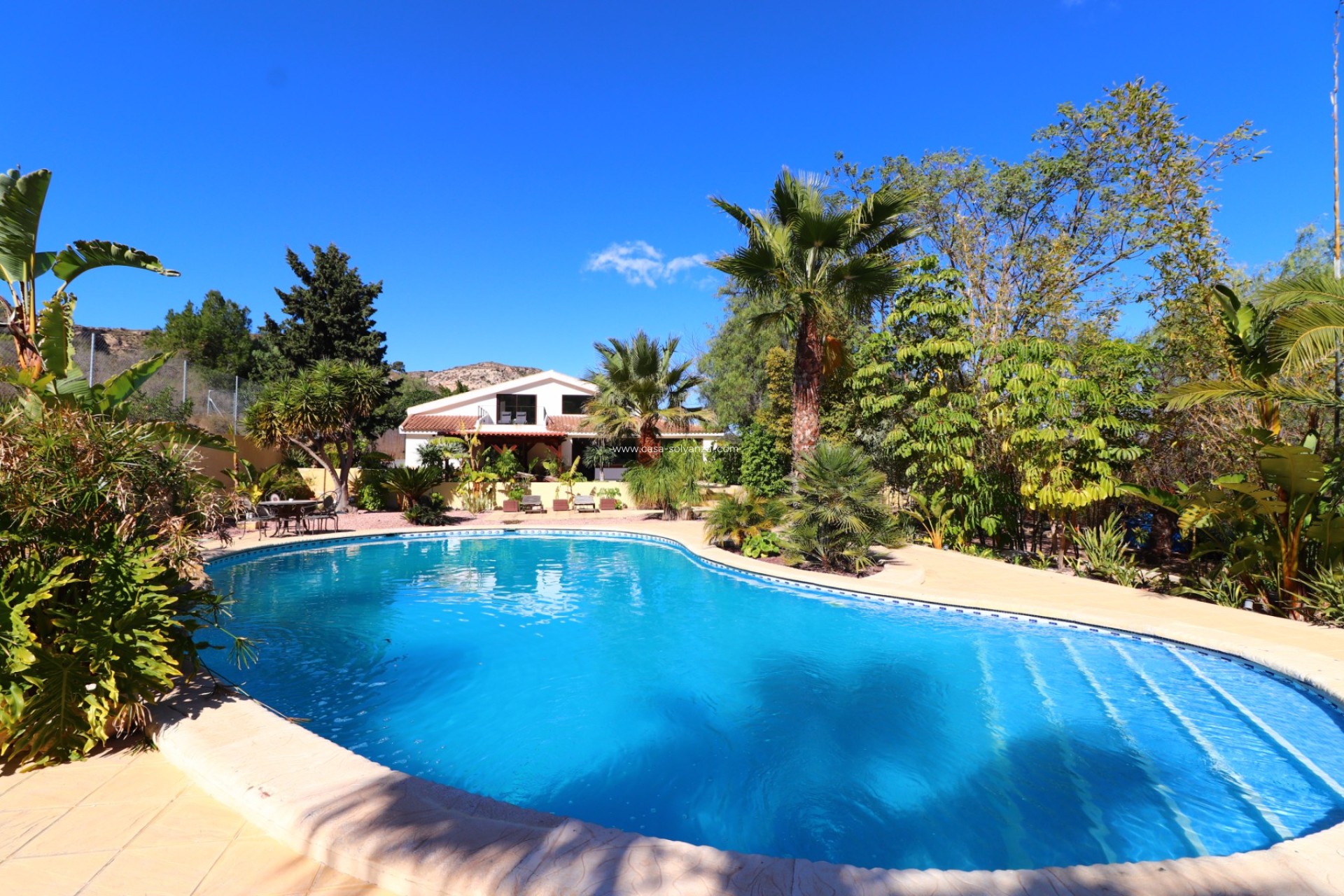 Wiederverkauf - Country Property/Finca - Aspe