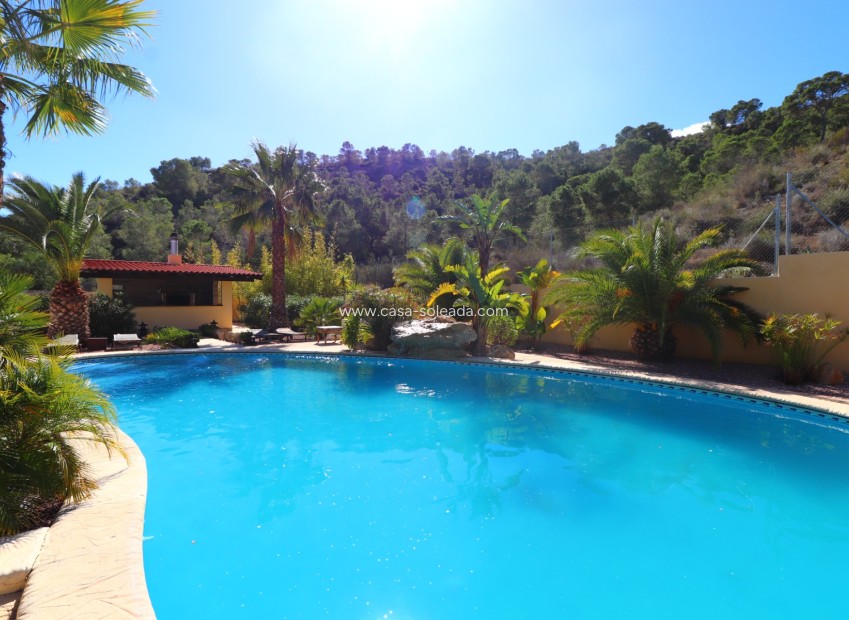 Wiederverkauf - Country Property/Finca - Aspe