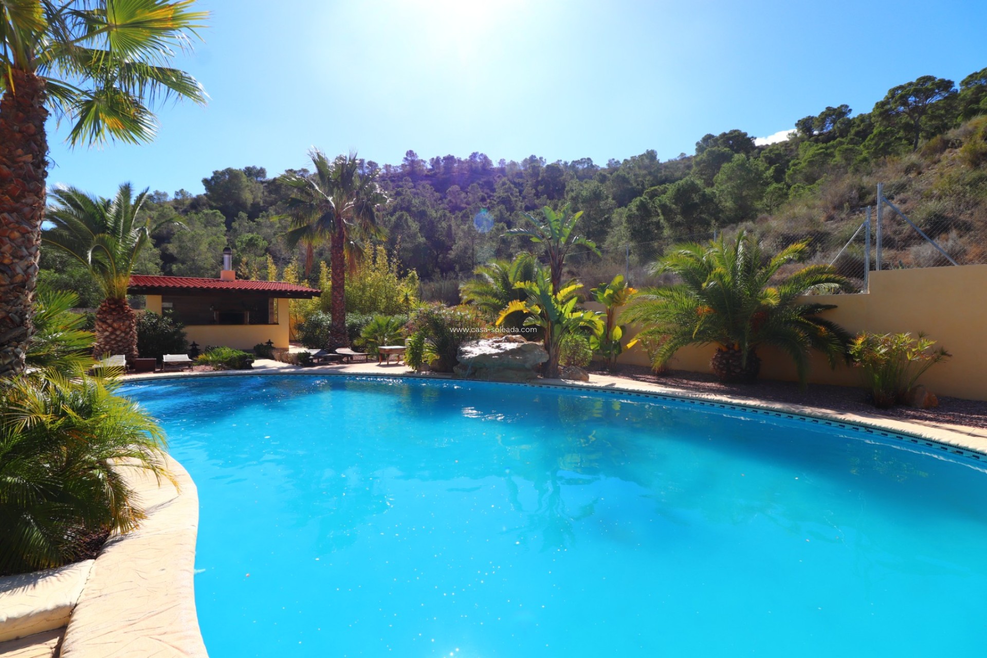 Wiederverkauf - Country Property/Finca - Aspe