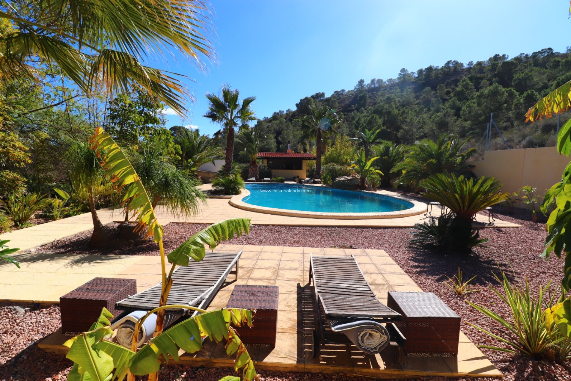 Wiederverkauf - Country Property/Finca - Aspe