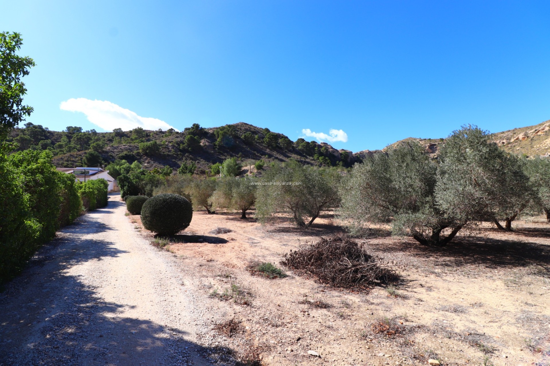 Wiederverkauf - Country Property/Finca - Aspe