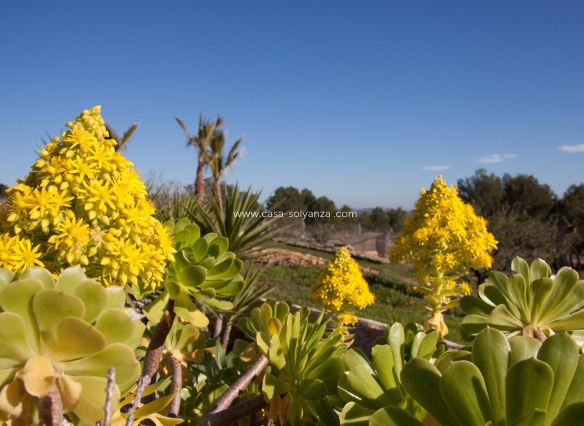 Wiederverkauf - Country Property/Finca - Benisa - Costa Blanca