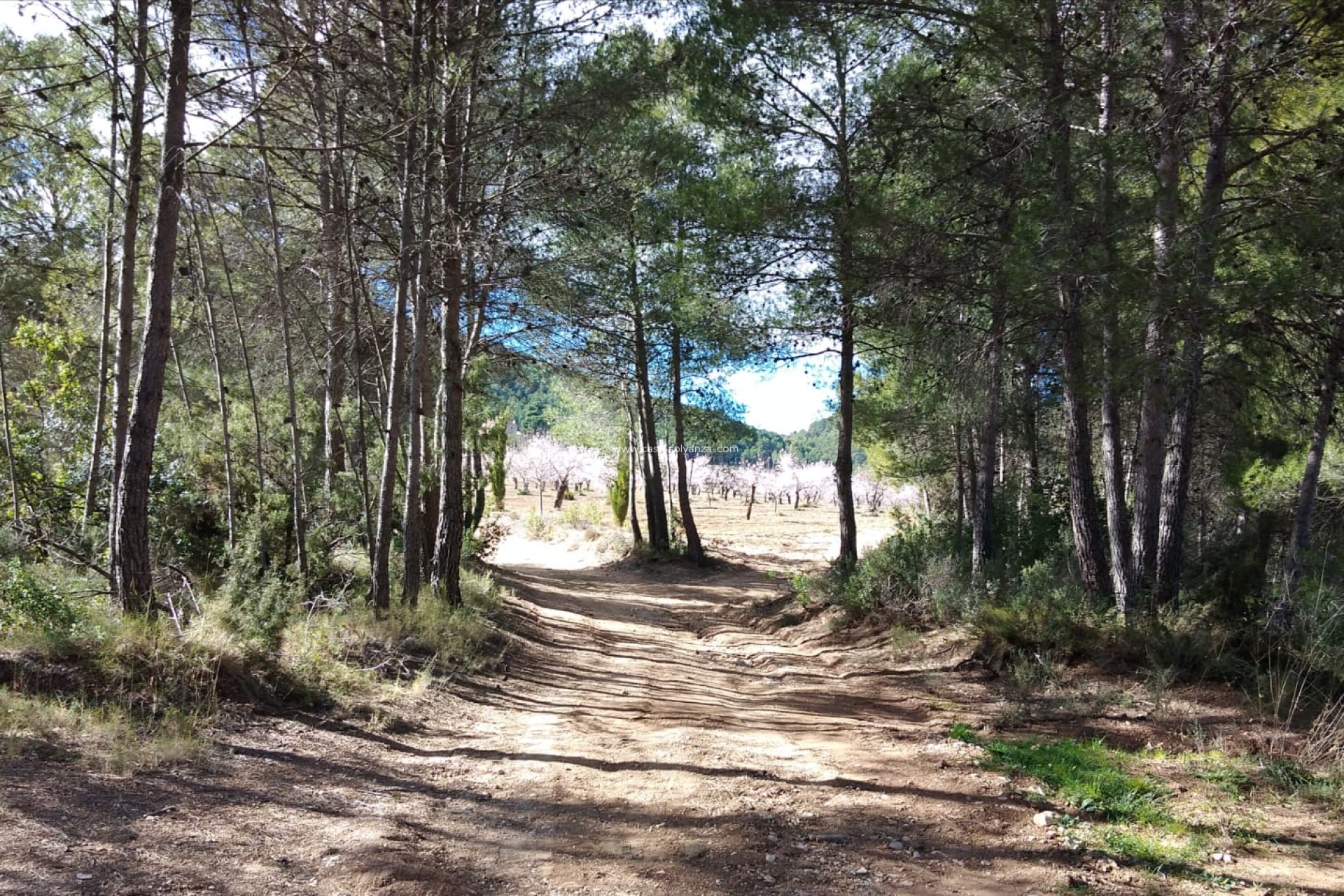 Wiederverkauf - Country Property/Finca - Bullas