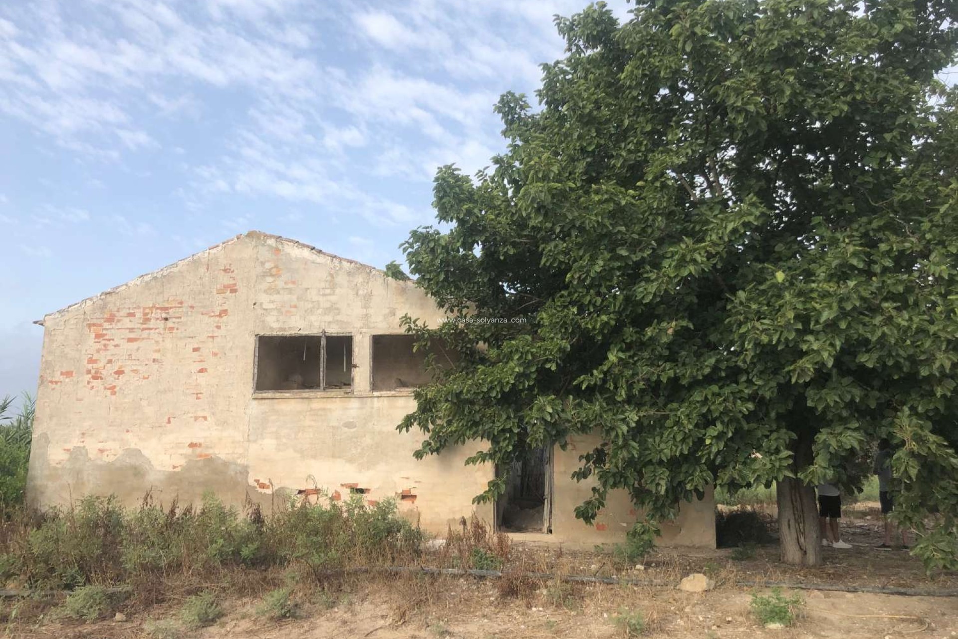 Wiederverkauf - Country Property/Finca - Callosa de Segura - Callosa De Segura