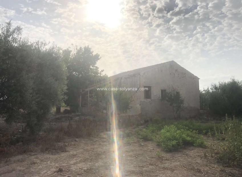 Wiederverkauf - Country Property/Finca - Callosa de Segura - Callosa De Segura
