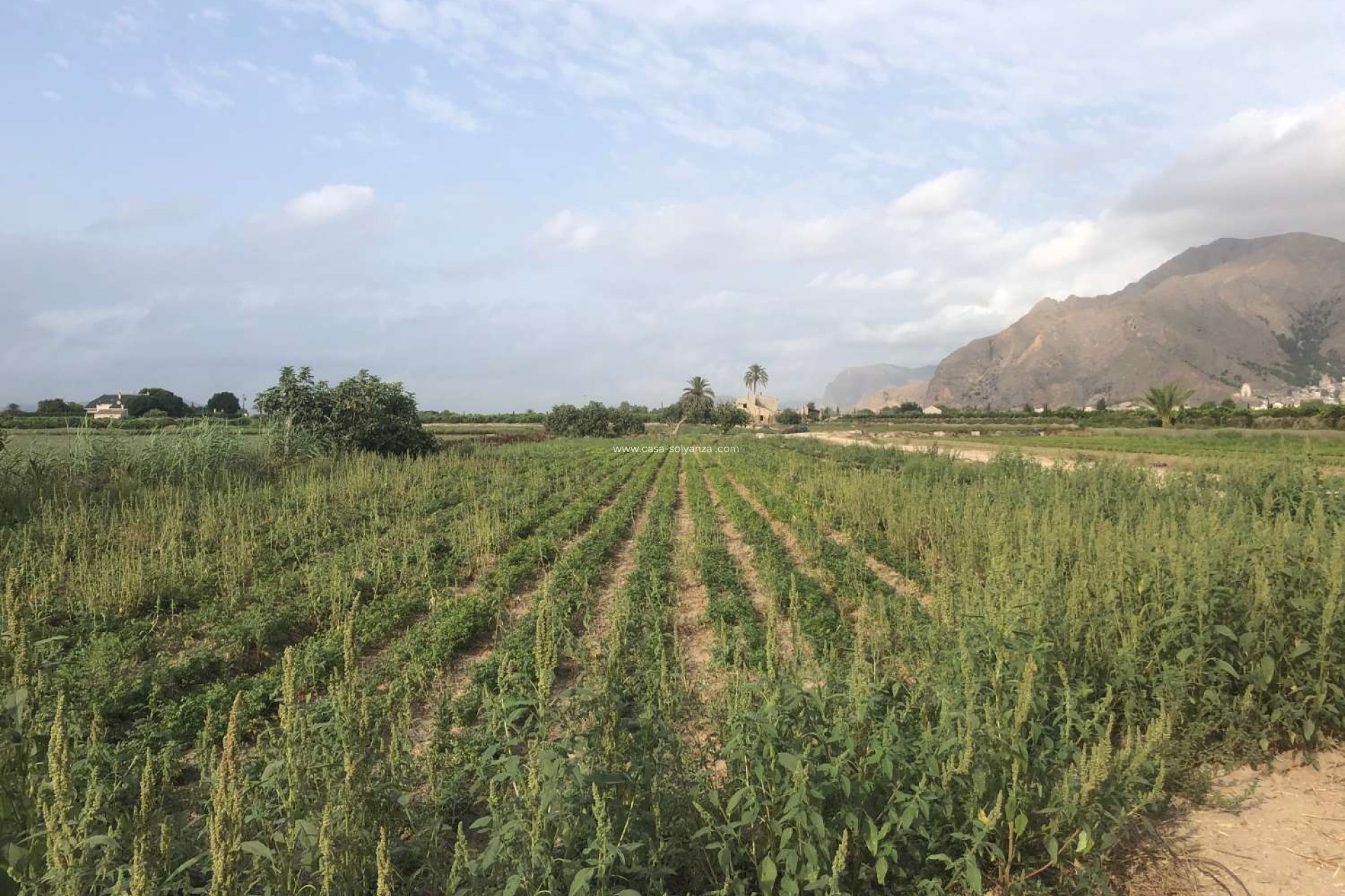 Wiederverkauf - Country Property/Finca - Callosa de Segura - Callosa De Segura